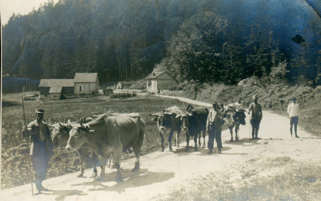 three Frenchmen, each leading an ox team, walk down a road in a valley with a farmhouse in the distance as an American soldier looks on