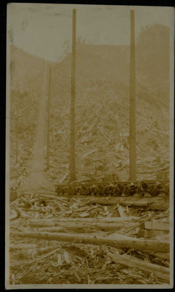 a faded sepia toned photograph shows a narrow guage track coming down a hill that has been clear cut except for two trees.