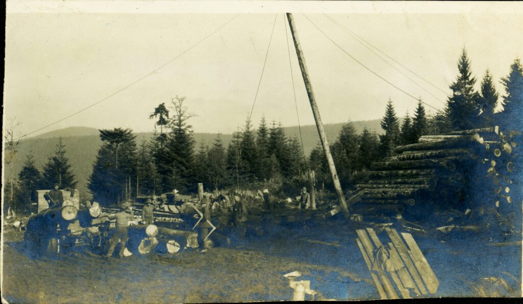 a group of men work at the landing of a long-line logging setup.  One man holds a set of calipers.