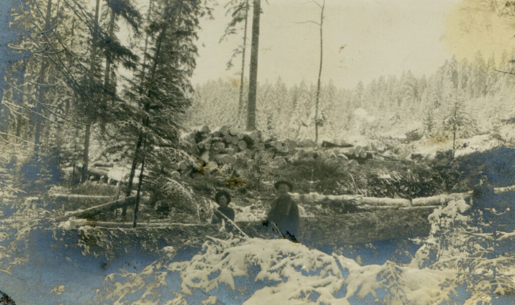 Two forestry soldiers in the Vosges mountains in France pose in light snow near cut logs