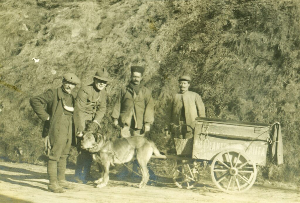 An American soldier poses with three Frenchmen near a dog hitched to a small cart.