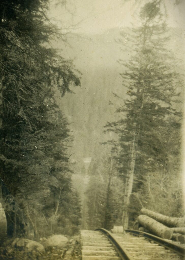 view looking down a forested hill to a valley below. narrow gauge track is in the forground